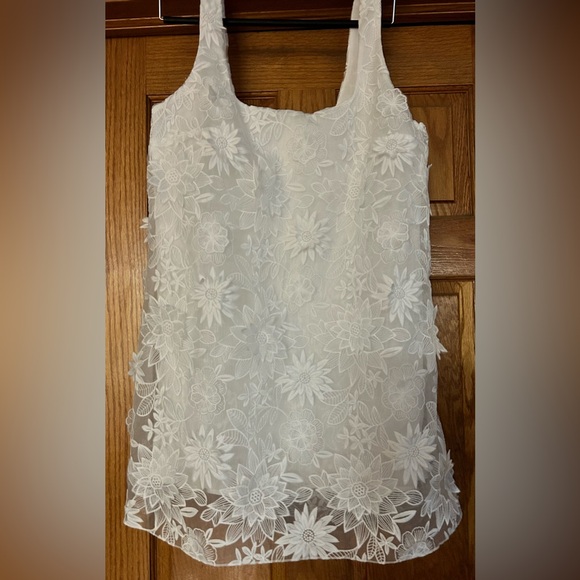 ZARA collection Elegant Floral Oyster White Lace Dress Large - Picture 6 of 8